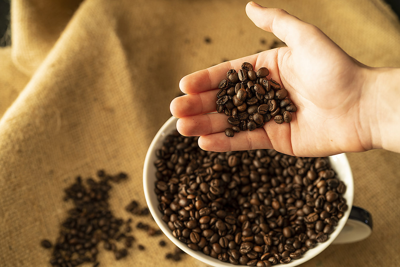 coffee beans and coffee grounds compost bin​